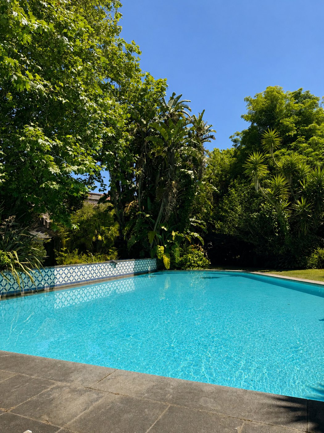 The outdoor pool